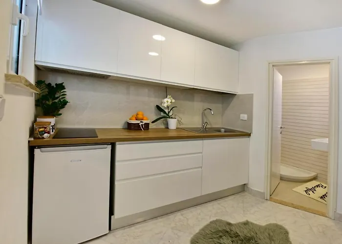 Ginger Apartment Poreč